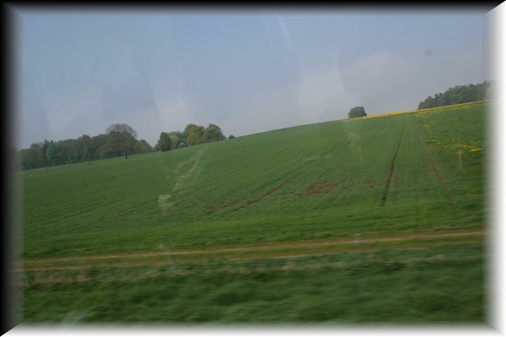 IMG_1272