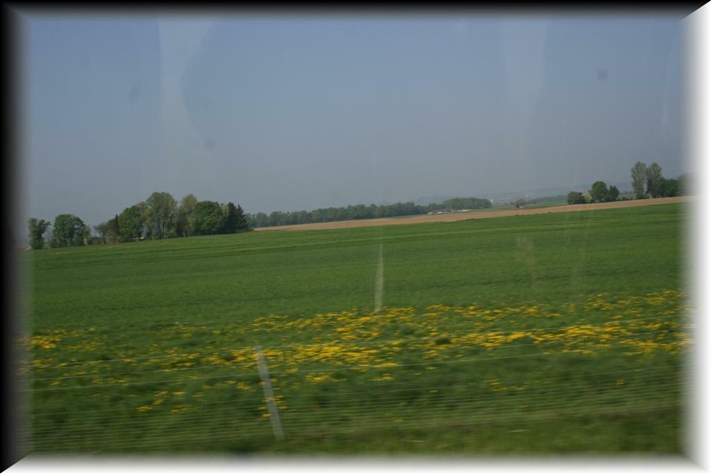 IMG_1280