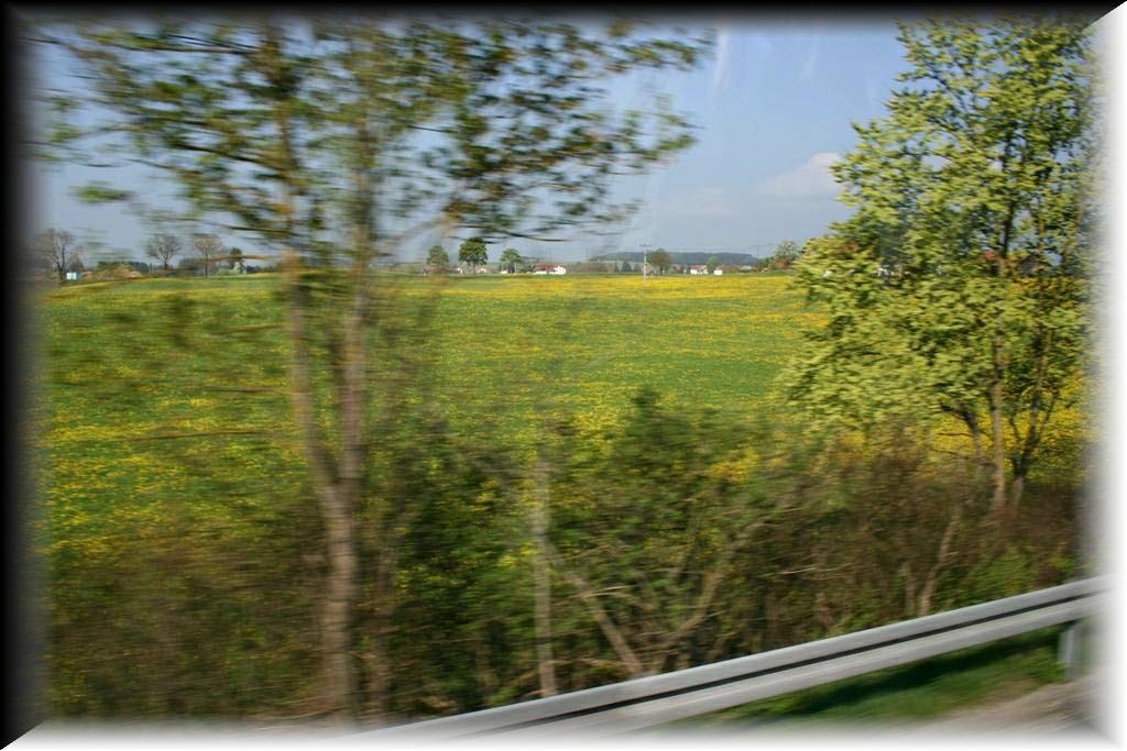 IMG_1319