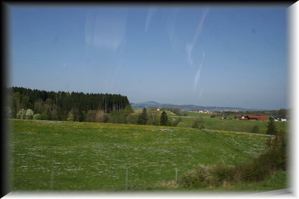 IMG_1334