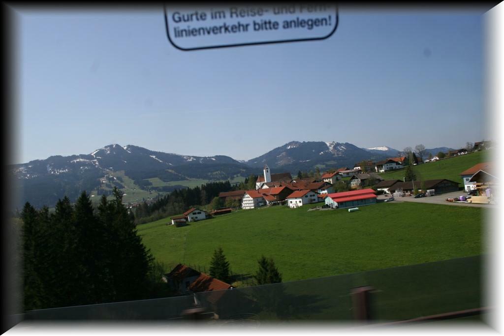 IMG_1354