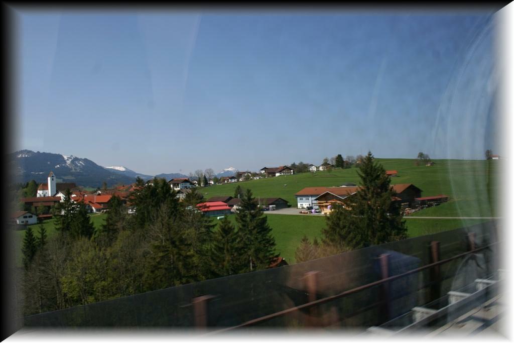 IMG_1355