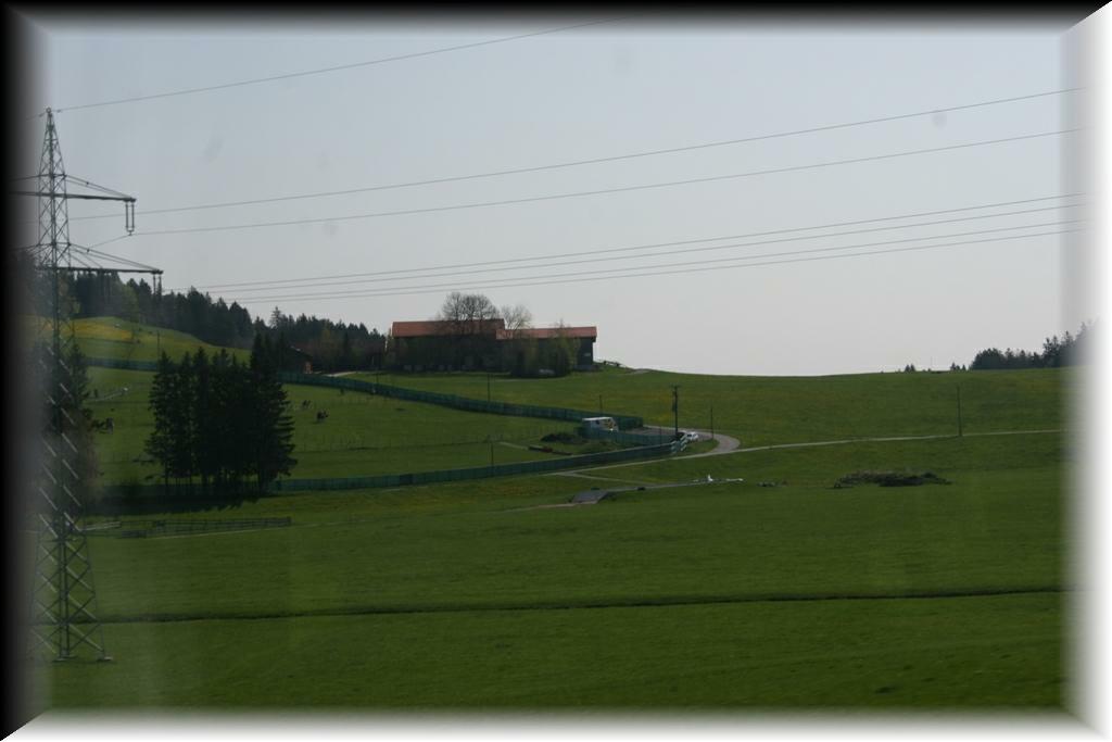 IMG_1373
