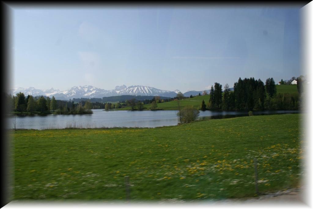IMG_1385