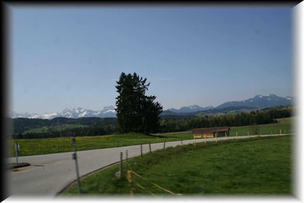 IMG_1399