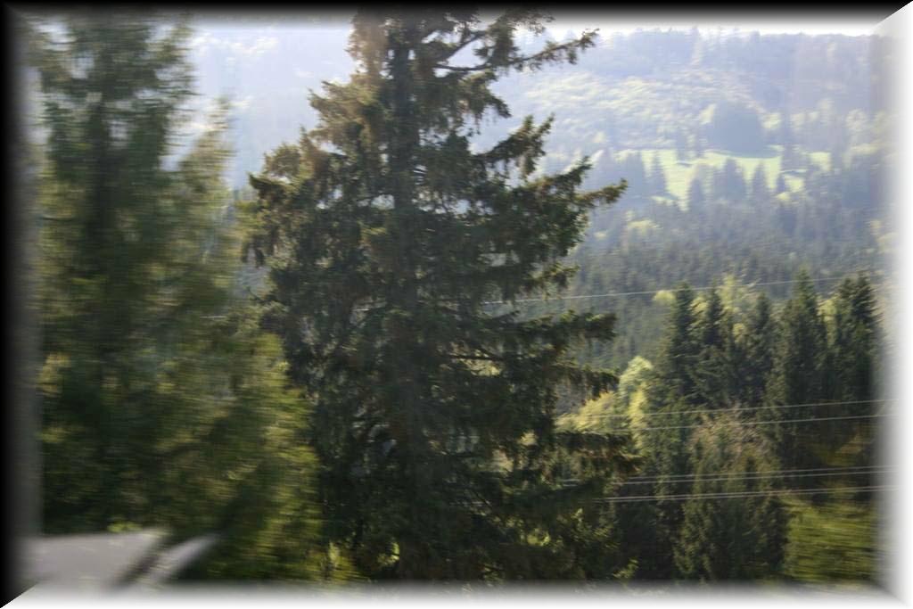 IMG_1419