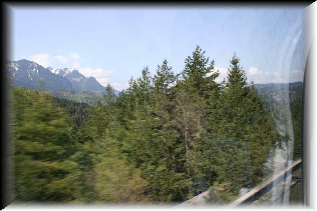 IMG_1530