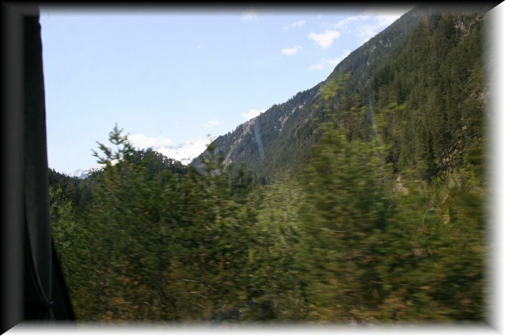 IMG_1553