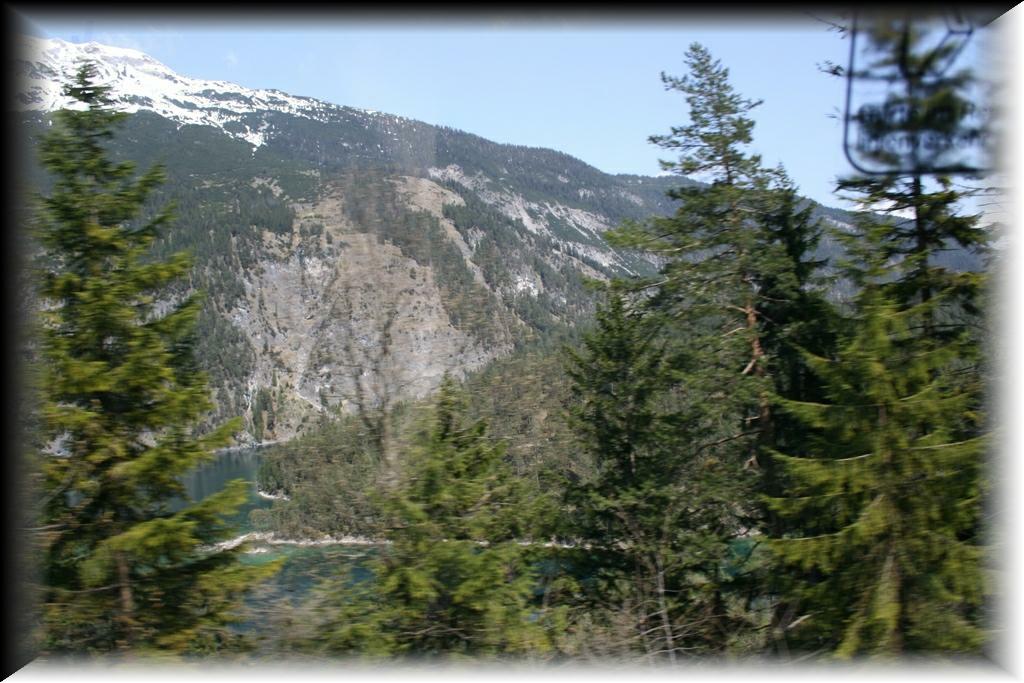 IMG_1558