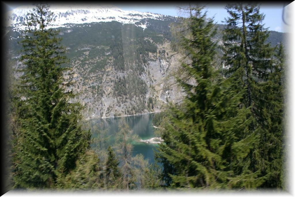 IMG_1559