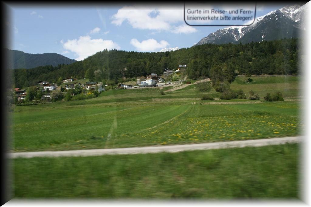 IMG_1590