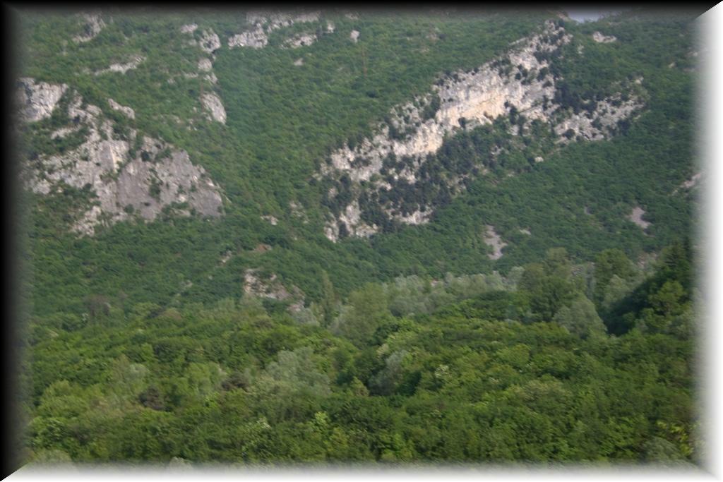 IMG_1834