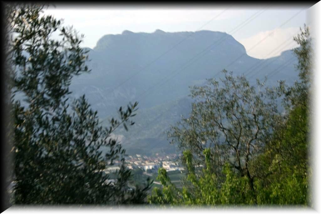 IMG_1847