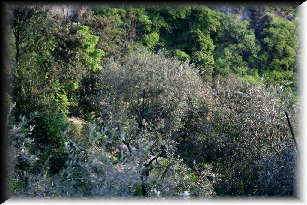 IMG_1853