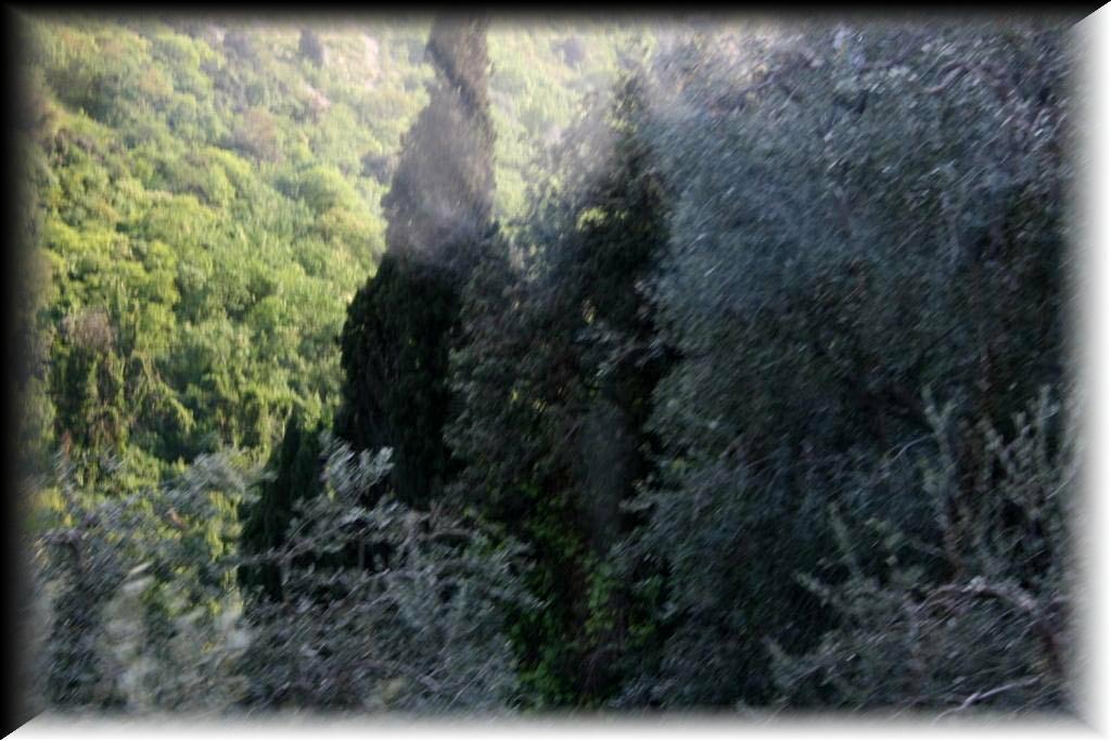 IMG_1854