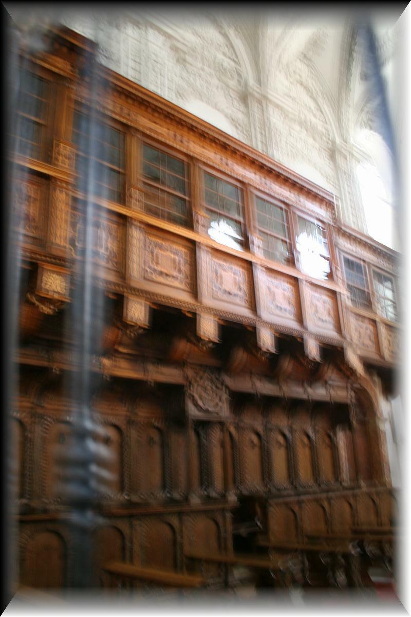 IMG_3594