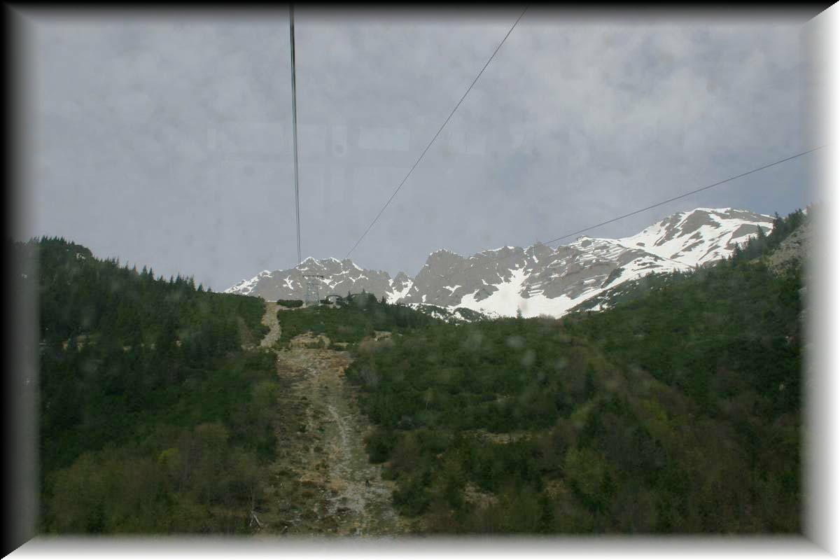IMG_3701