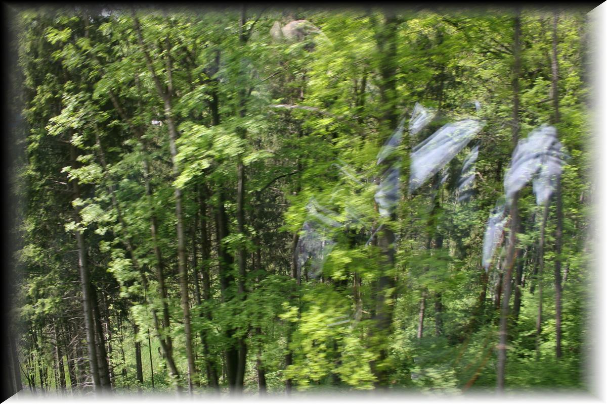 IMG_3963