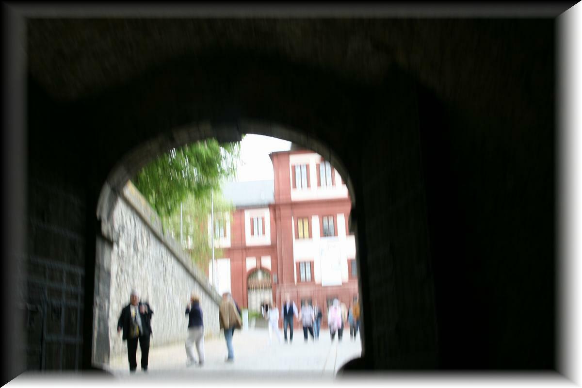 IMG_4446