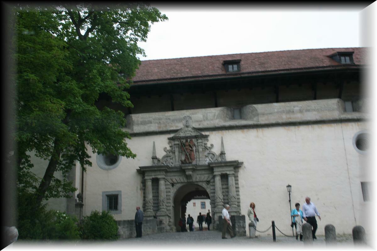 IMG_4450