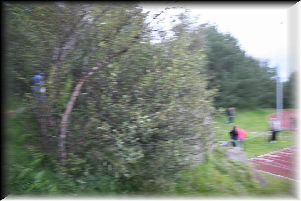 IMG_2799