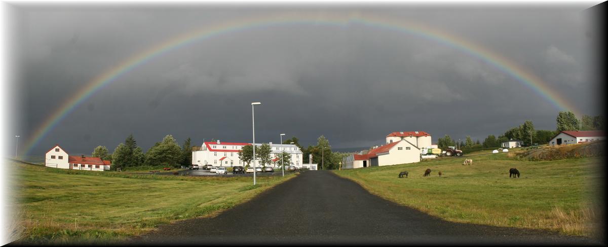 IMG_2318-merged-9516-9517 -