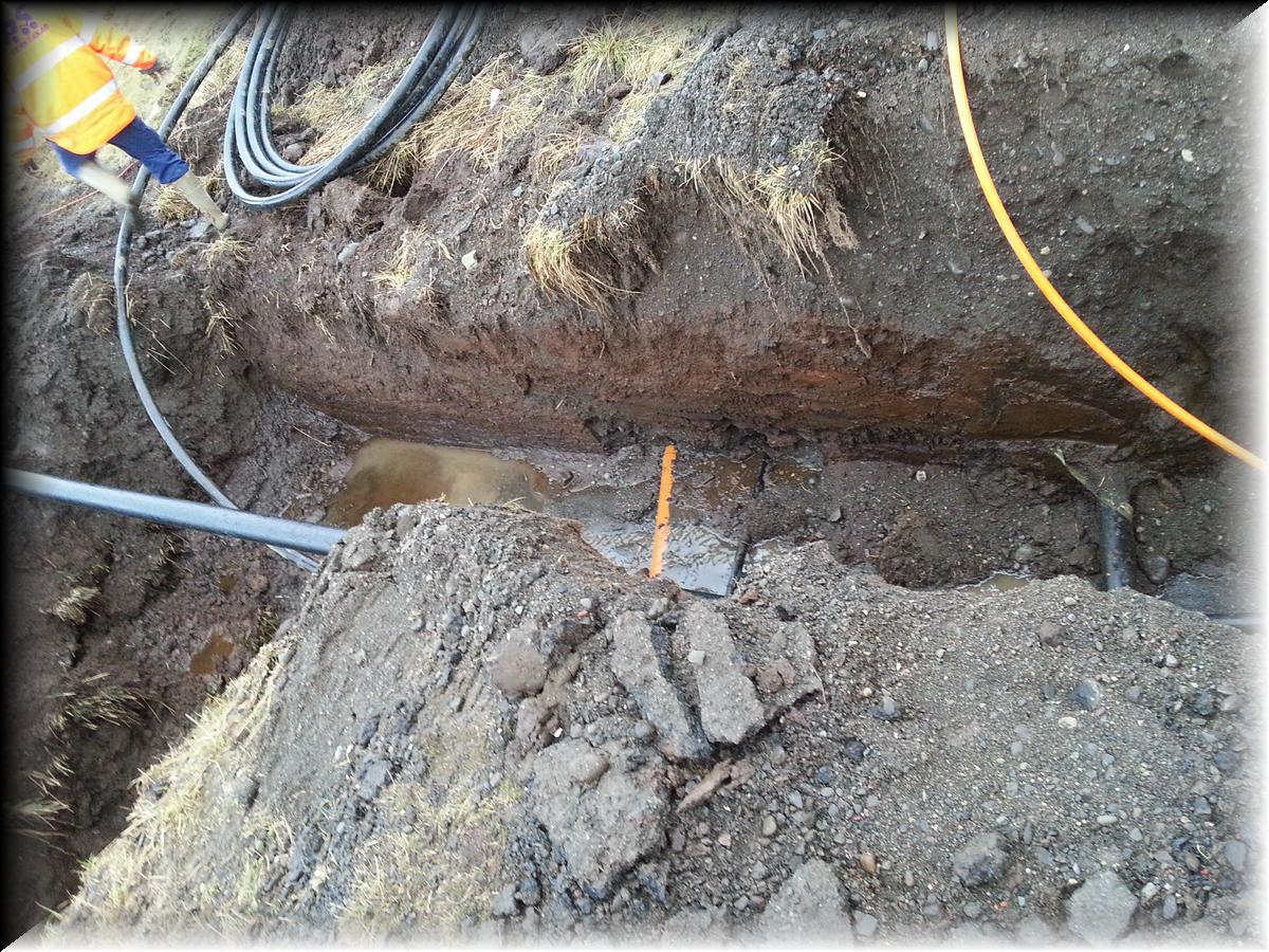 IMG_1389-20140120_141724