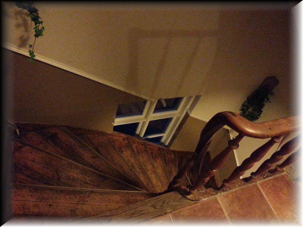 IMG_1389-20140122_164405