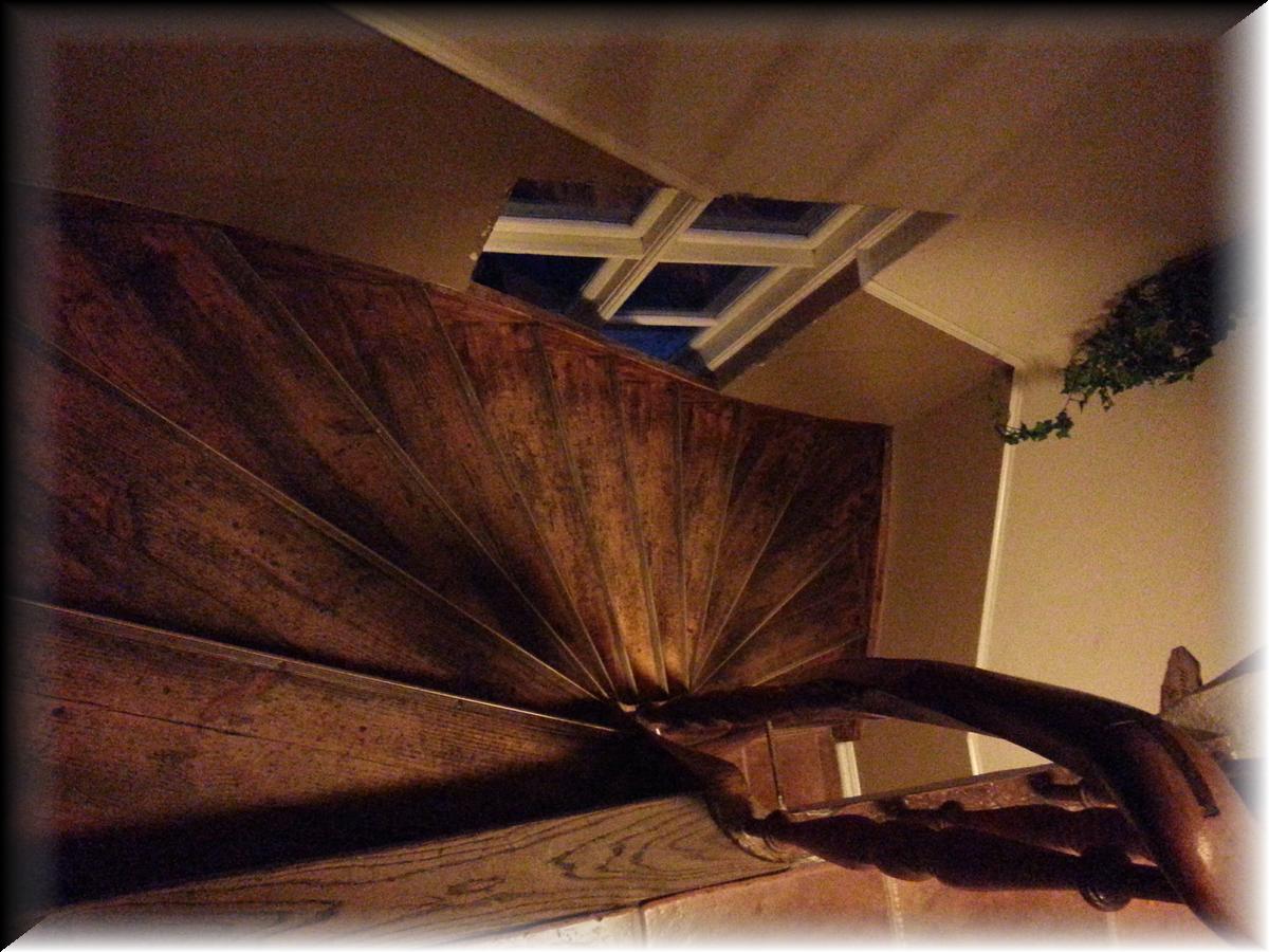 IMG_1389-20140122_164454