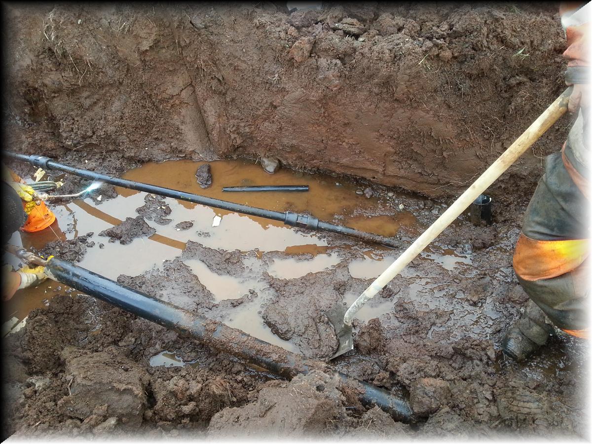 IMG_1389-20140123_133900