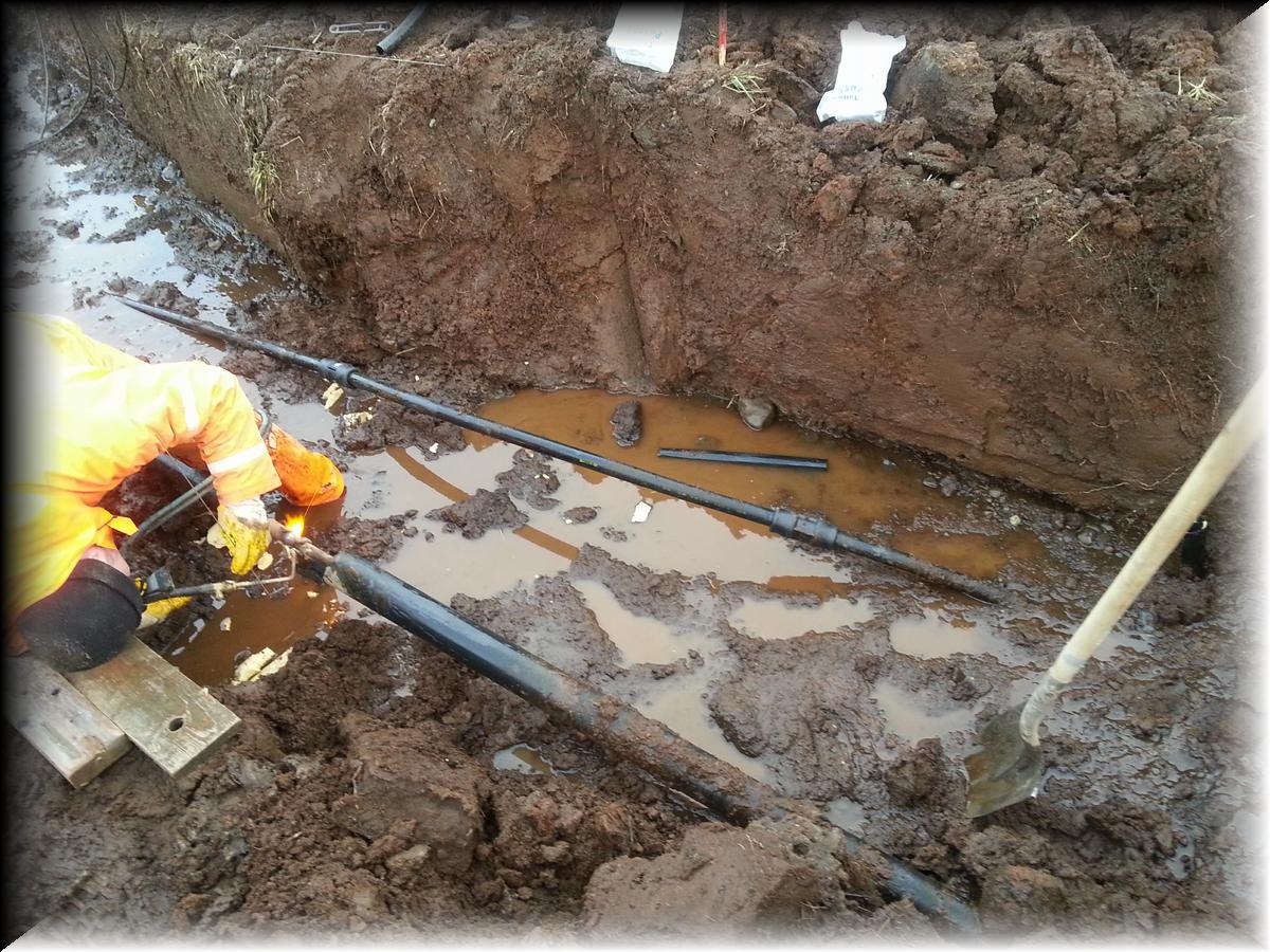 IMG_1389-20140123_133909