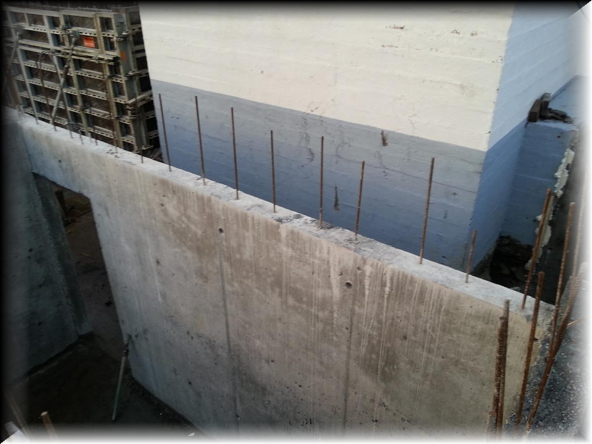 IMG_1389-20140123_154325