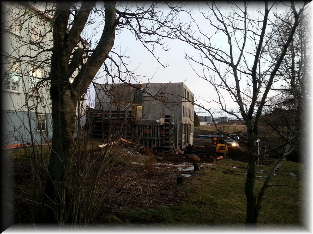 IMG_1389-20140123_155939