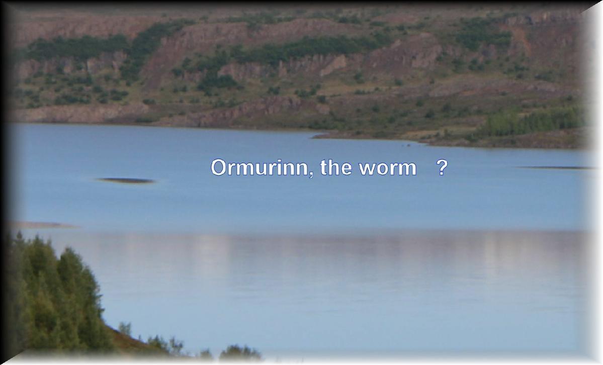 IMG_0871-ormurinn-04