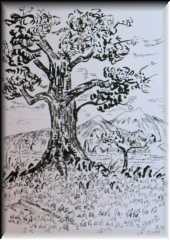 2014-05-02-robert-synt-eg-IMG_6736