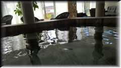 WP_20160507_14_48_45_Pro