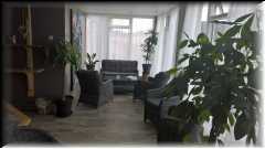 WP_20160507_14_54_52_Pro