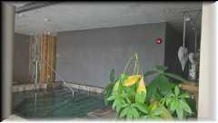 WP_20160507_14_55_05_Pro