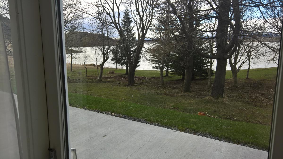 WP_20160507_14_56_22_Pro