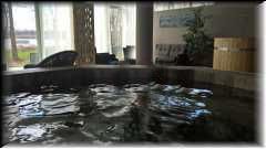 WP_20160507_14_50_20_Pro