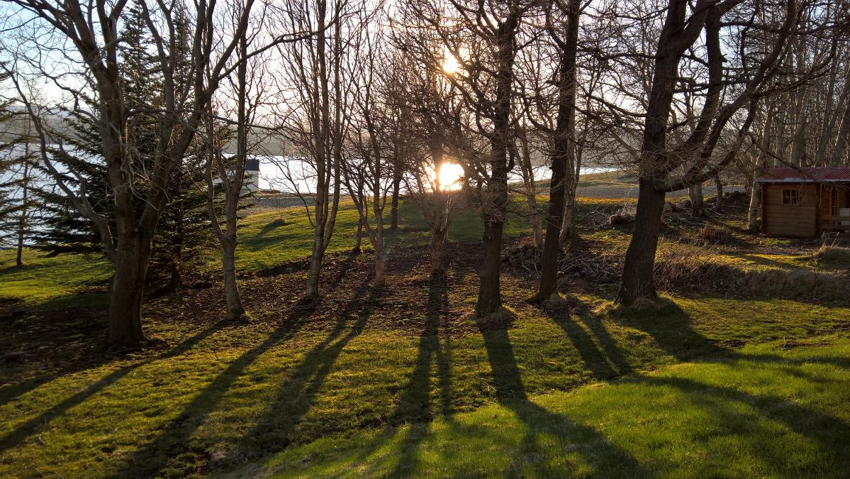 WP_20160508_20_21_42_Pro