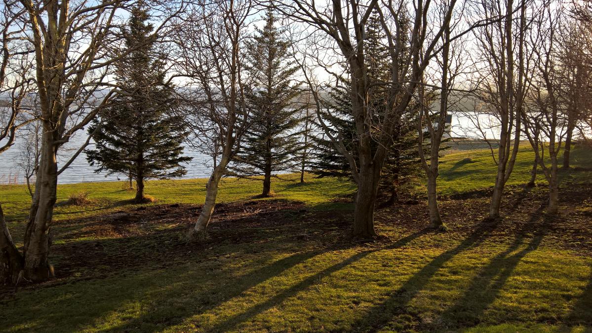 WP_20160508_20_21_44_Pro