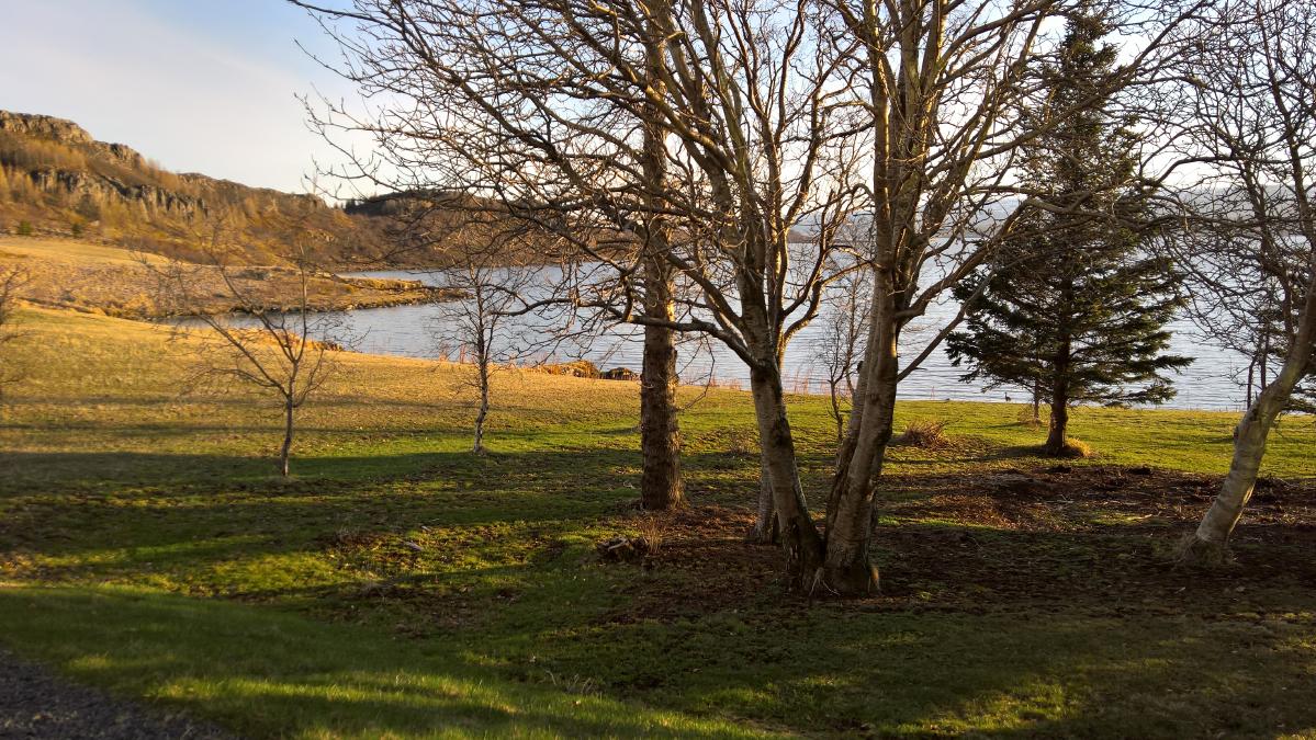 WP_20160508_20_21_47_Pro