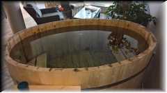 WP_20160508_20_15_15_Pro