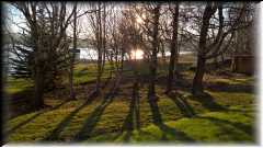 WP_20160508_20_21_42_Pro