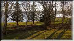 WP_20160508_20_21_44_Pro