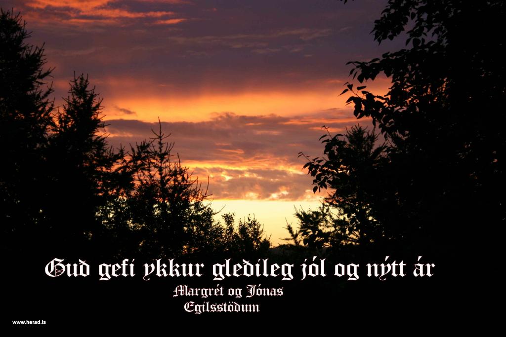 IMG_9338-jolakort-4-