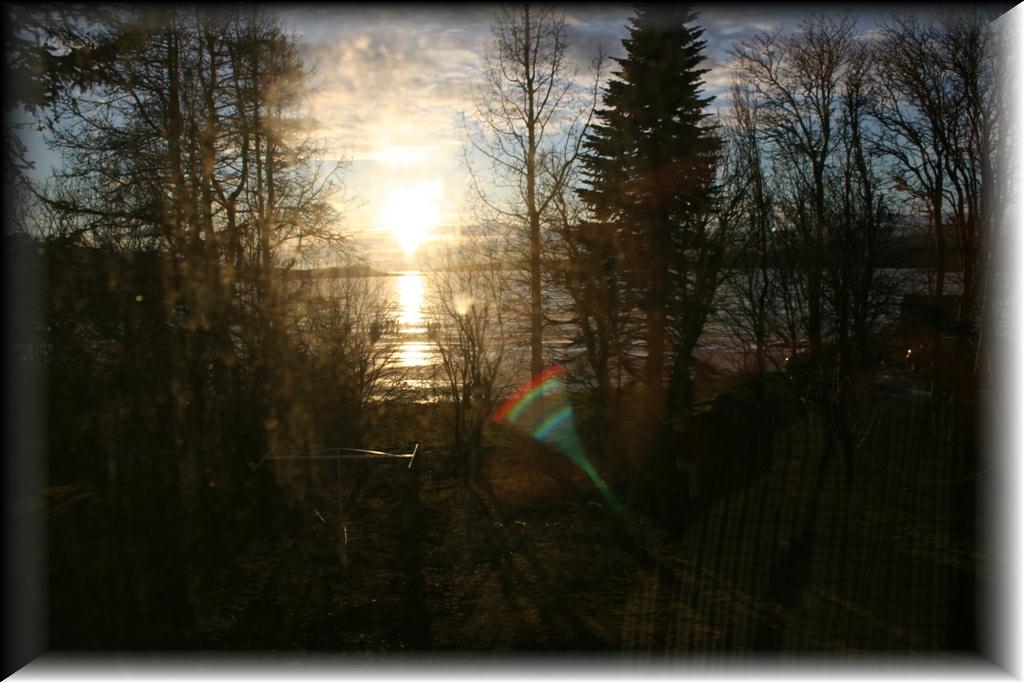 IMG_0952