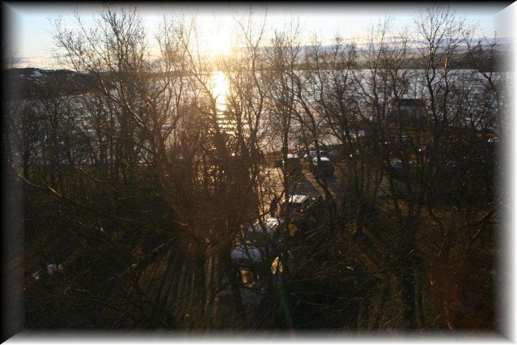 IMG_0954